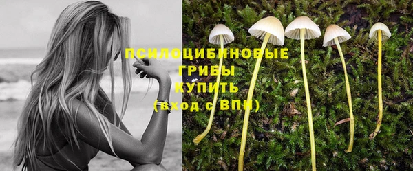 экстази Вяземский