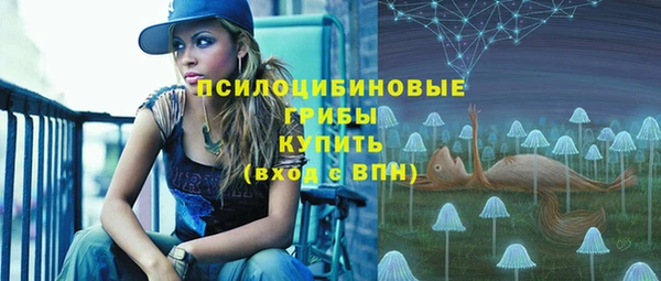 экстази Вяземский