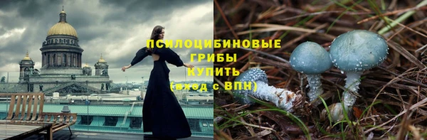 экстази Вяземский